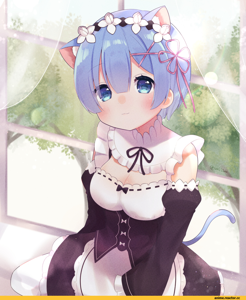 Rem (re zero), Re Zero Kara Hajimeru Isekai Seikatsu, Anime Няши, nekomimi, Animal Ears, ligh xi, Anime