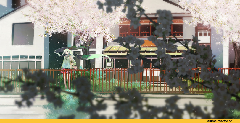 cityscape, Hatsune Miku, Sakura, flower, city, art девушка, красивые картинки, сакура, Япония, chris, Anime, Vocaloid