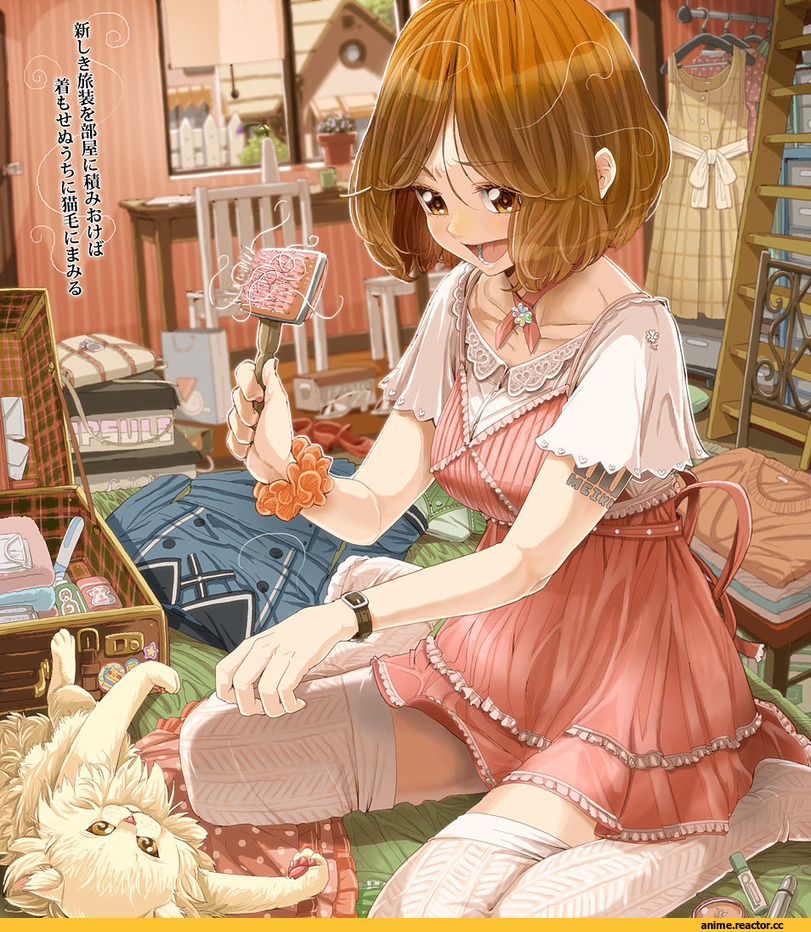 Anime Original, Anime Art, dress, cat, Vocaloid, Meiko, sakine meiko, daigoman, art девушка, красивые картинки, Anime