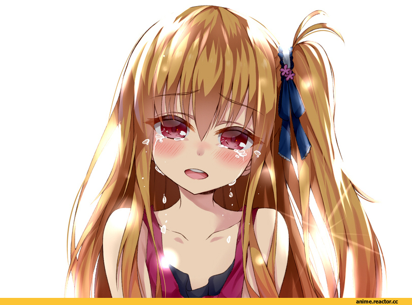 art девушка, красивые картинки, art, Charlotte, Charlotte (Anime), удалённое, Anime