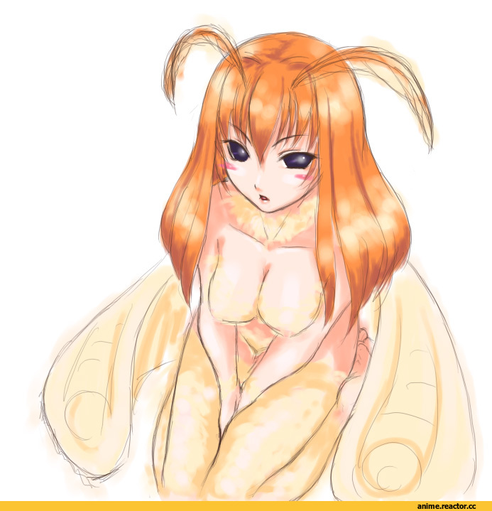 Monster Girls, Insect Girl, мотылек, art барышня, art, moth girl, Anime Ero, Anime