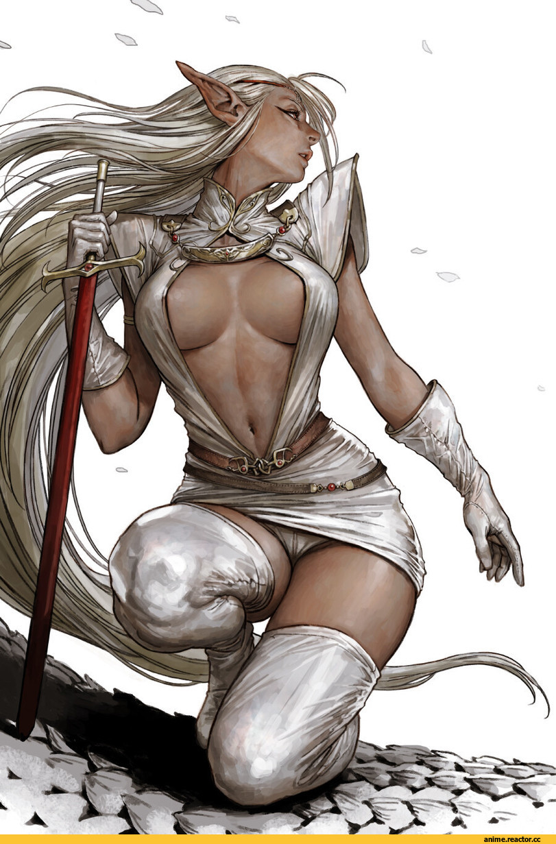 арт девушка, Fantasy, Kyoung Hwan Kim, record of lodoss war, Anime OldSchool, pirotess, elf, Anime Art, Anime Ero Pantsu, Anime Ero, Anime, art, artist