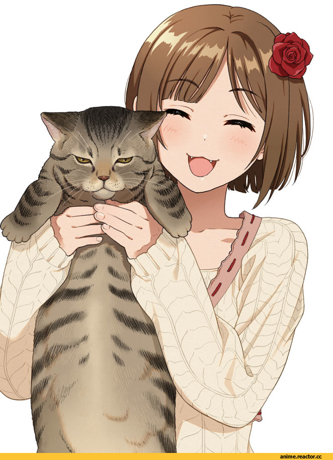 Mattaku Mousuke, Anime Art, artist, кот, арт барышня, art, Maekawa Miku, Idolmaster, Anime