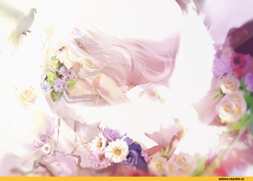Re Zero Kara Hajimeru Isekai Seikatsu, Emilia (re zero), Shirataka, Anime