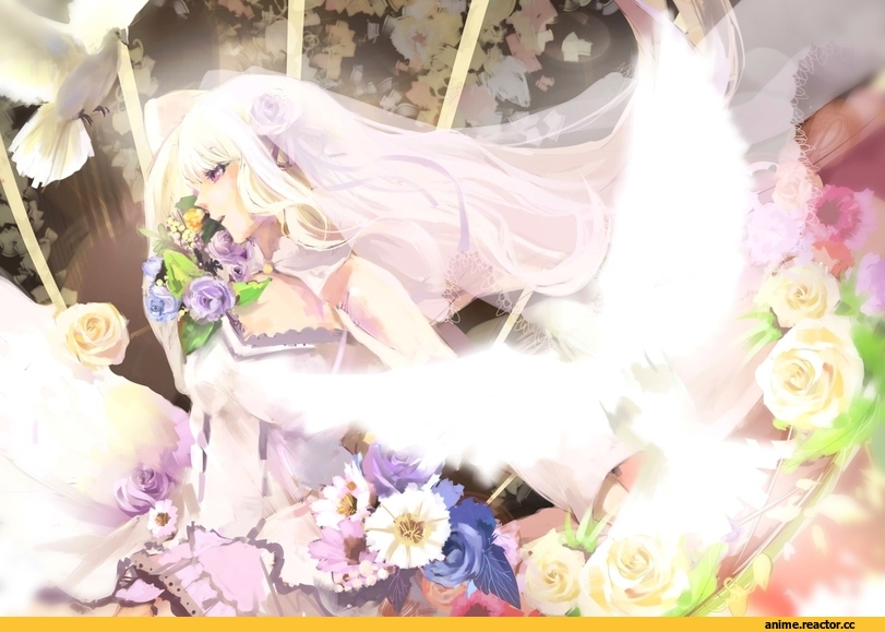 Re Zero Kara Hajimeru Isekai Seikatsu, Emilia (re zero), Shirataka, Anime