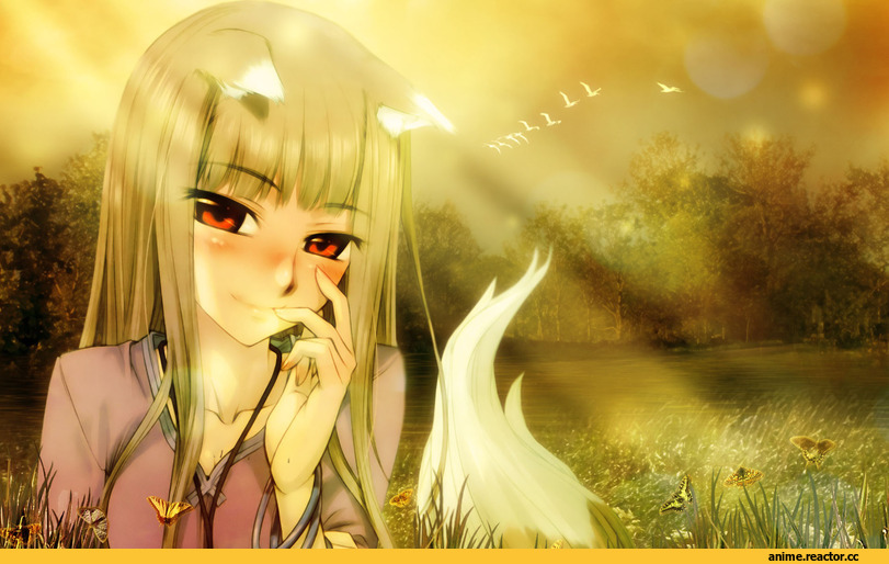 art, волчица и пряности, личное, Inumimi, Animal Ears, Anime