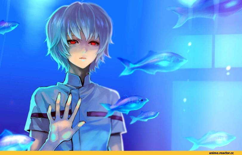 art, евангелион, Аянами Рэй, песочница, Anime