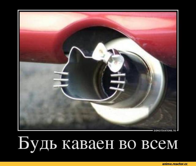 art, креатив, демотиватор, котэ, удалённое, Anime