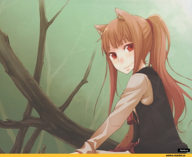 art, Spice and Wolf, Хоро, песочница, продолжение в комментариях, Lawrence Craft, Inumimi, Animal Ears, Anime
