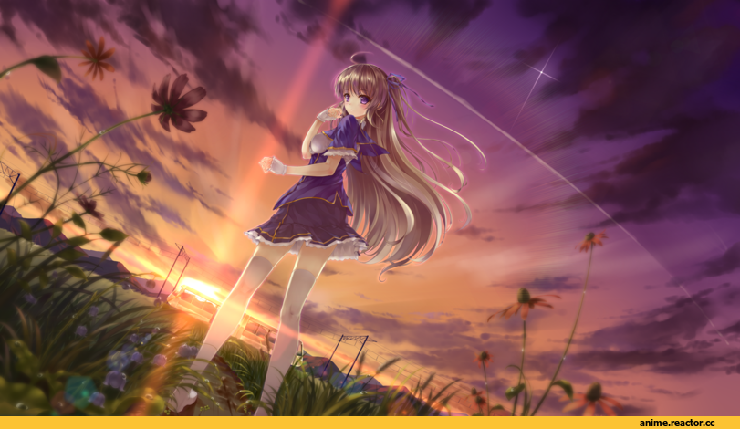 art, Anime