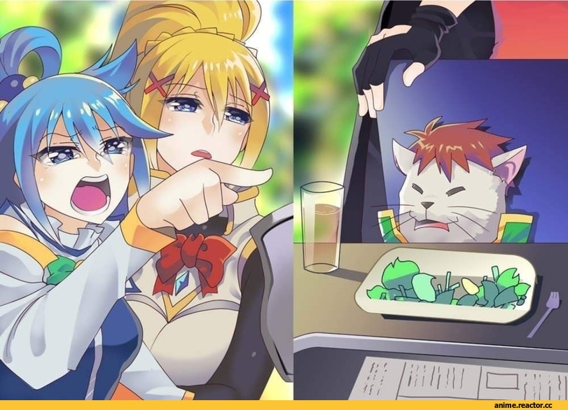 Satou Kazuma, KonoSuba, Aqua (KonoSuba), Darkness (KonoSuba), Megumin, Woman Yelling at a Cat, Anime