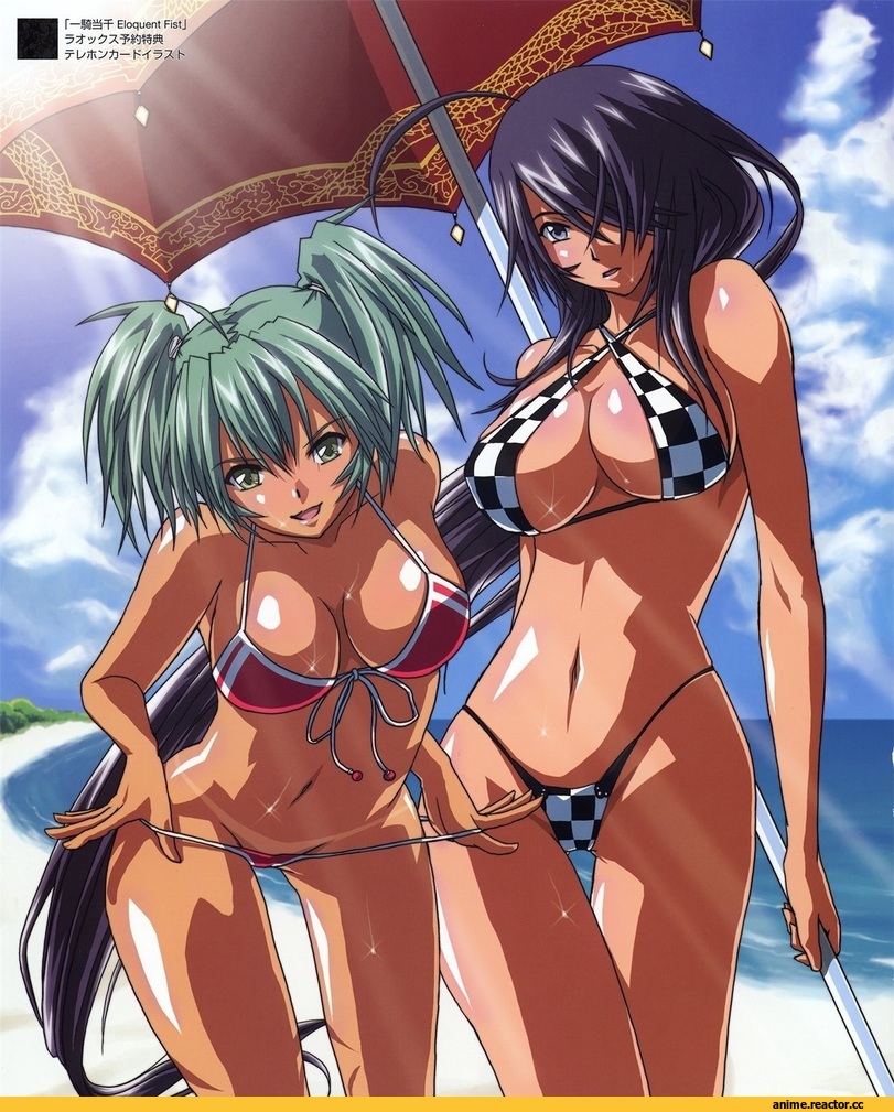 девушки, пляж, art, Ikkitousen, Anime