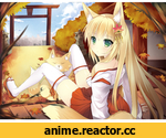 art, neko, Animal Ears, Anime