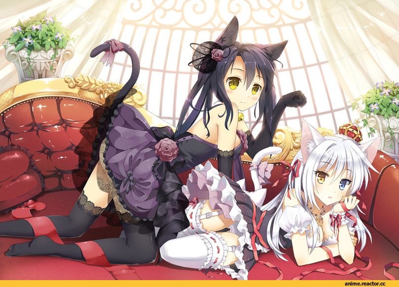art, neko, Animal Ears, Anime