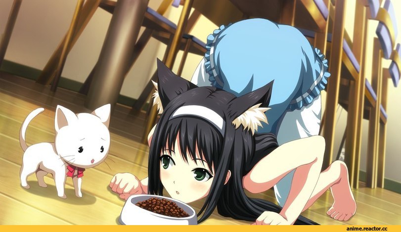 art, neko, Animal Ears, Anime