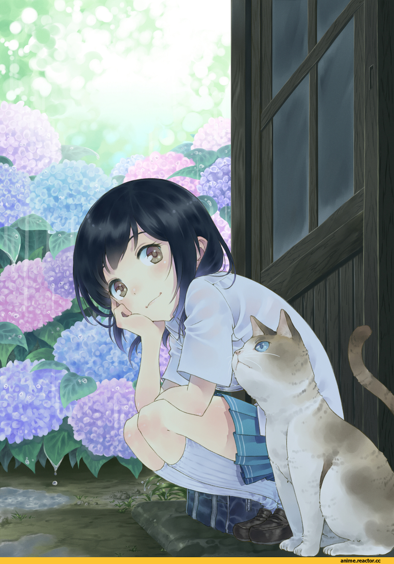 art, Anime