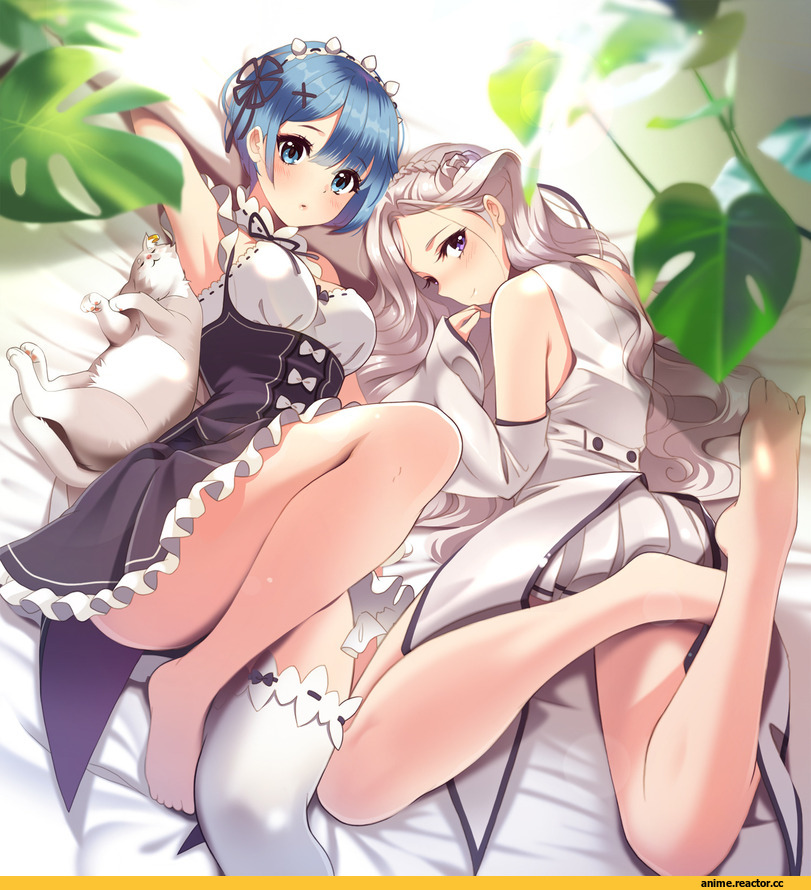 Re Zero Kara Hajimeru Isekai Seikatsu, Rem (re zero), Emilia (re zero), Pack (re zero), Miyaza, Anime