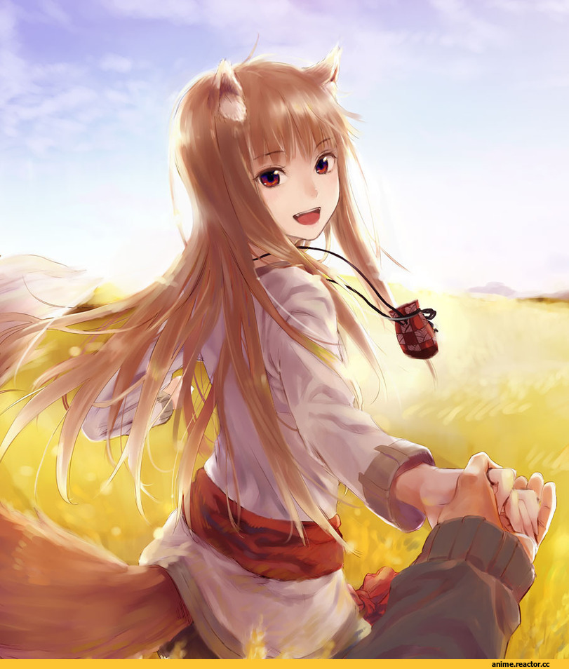 волчица и пряности, Хоро, art, Inumimi, Animal Ears, Anime