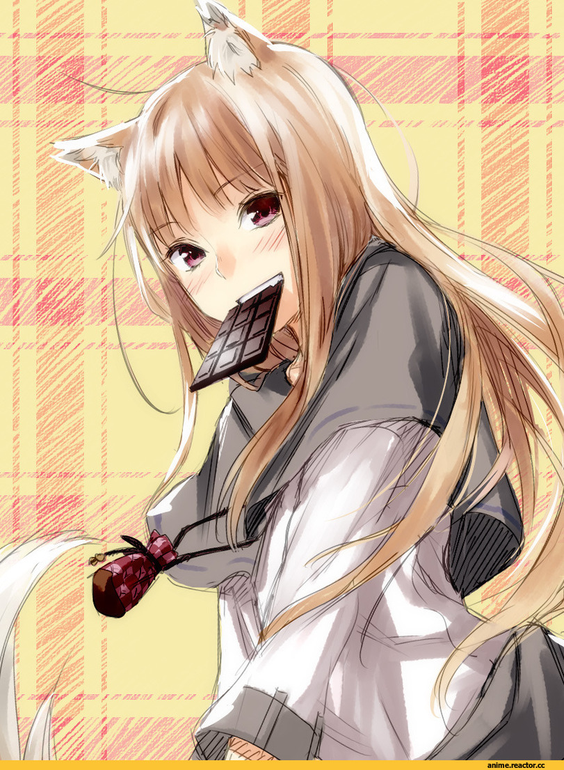 Spice and Wolf, art, Хоро, Inumimi, Animal Ears, Anime