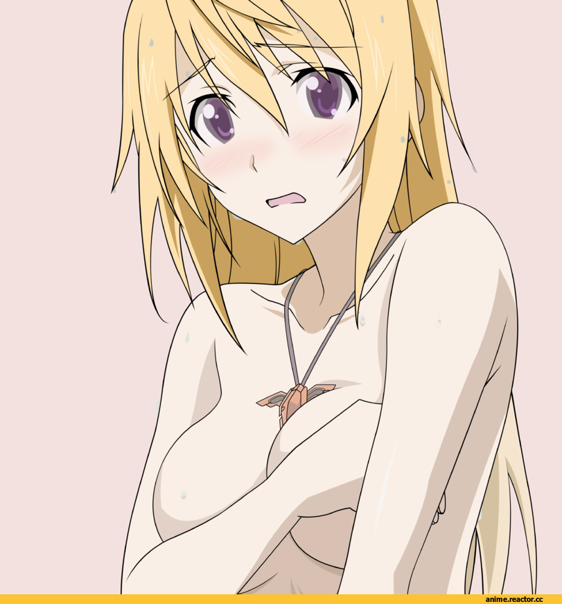 Infinite Stratos, dunois charlotte, art, Anime