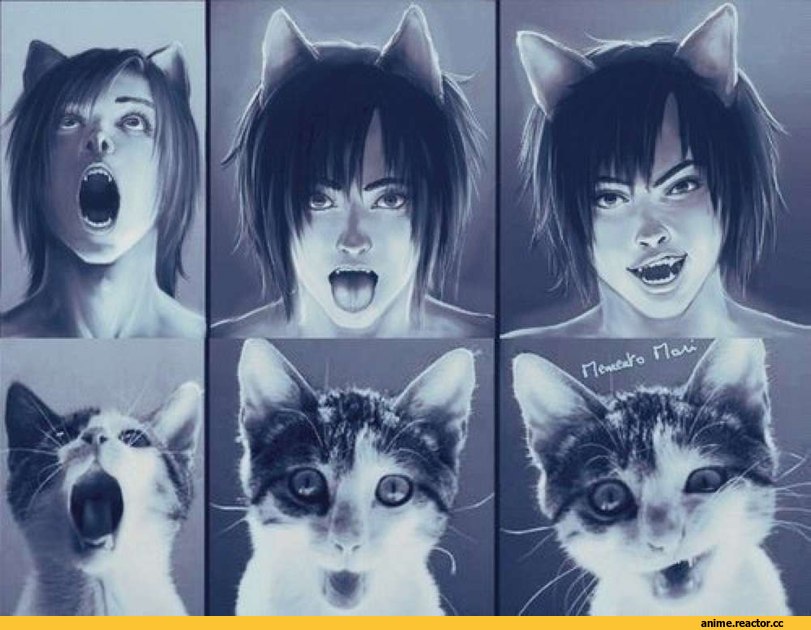 Неко, парень, арт, песочница, Animal Ears, Anime
