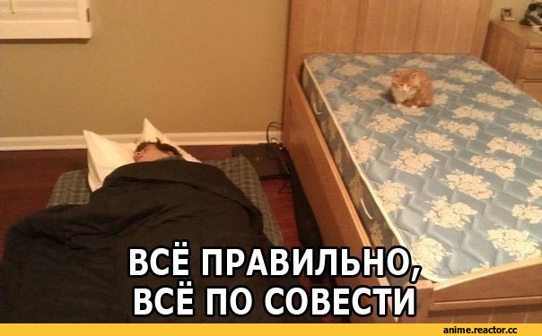 Комиксы, гифки, art, geek, video, песочница эротики, котэ, Игры, anon, личное, Anime, Эротика, story