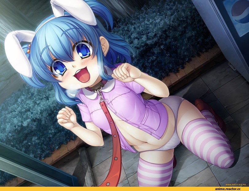 Anime Art, Anime