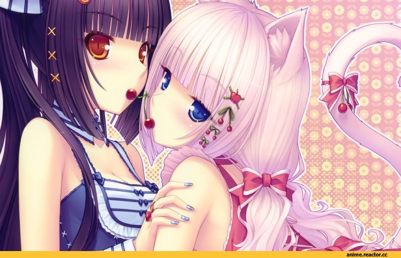 neko, 2 киски, art, Sayori, Chocolat & Vanilla, Animal Ears, Anime