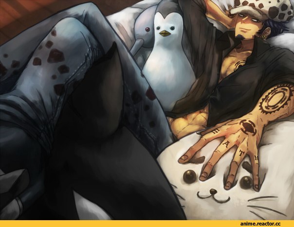 ван пис, Трафи, Трафальгар Ло, art, красивые картинки, Trafalgar Law, Anime