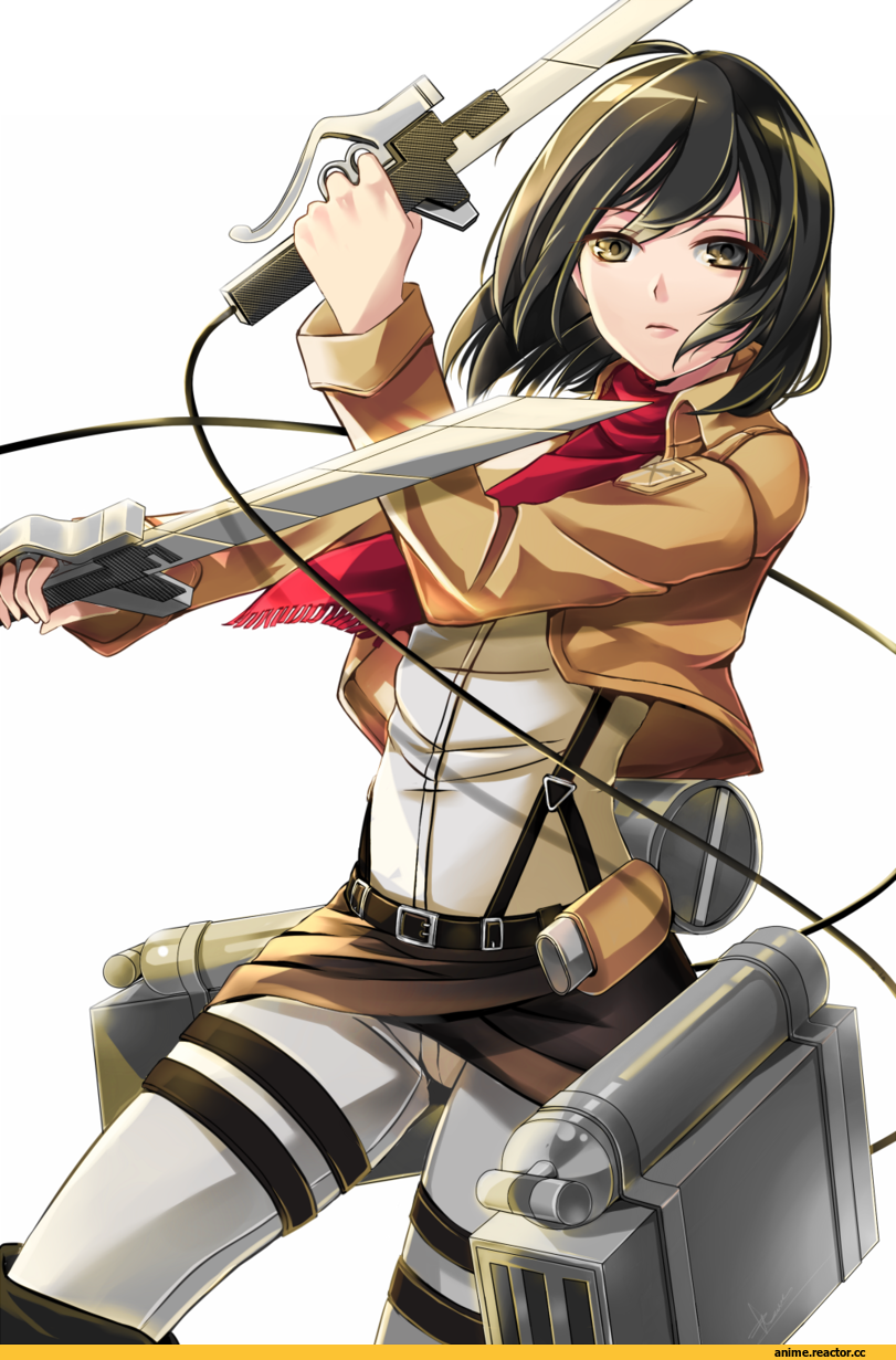 art, красивые картинки, Shingeki no Kyojin, Mikasa Ackerman, Anime