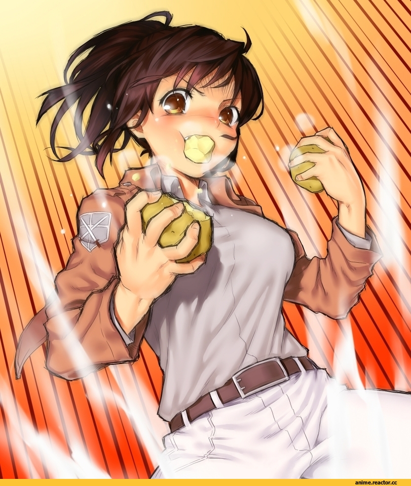 art, красивые картинки, Shingeki no Kyojin, Sasha Braus, Anime