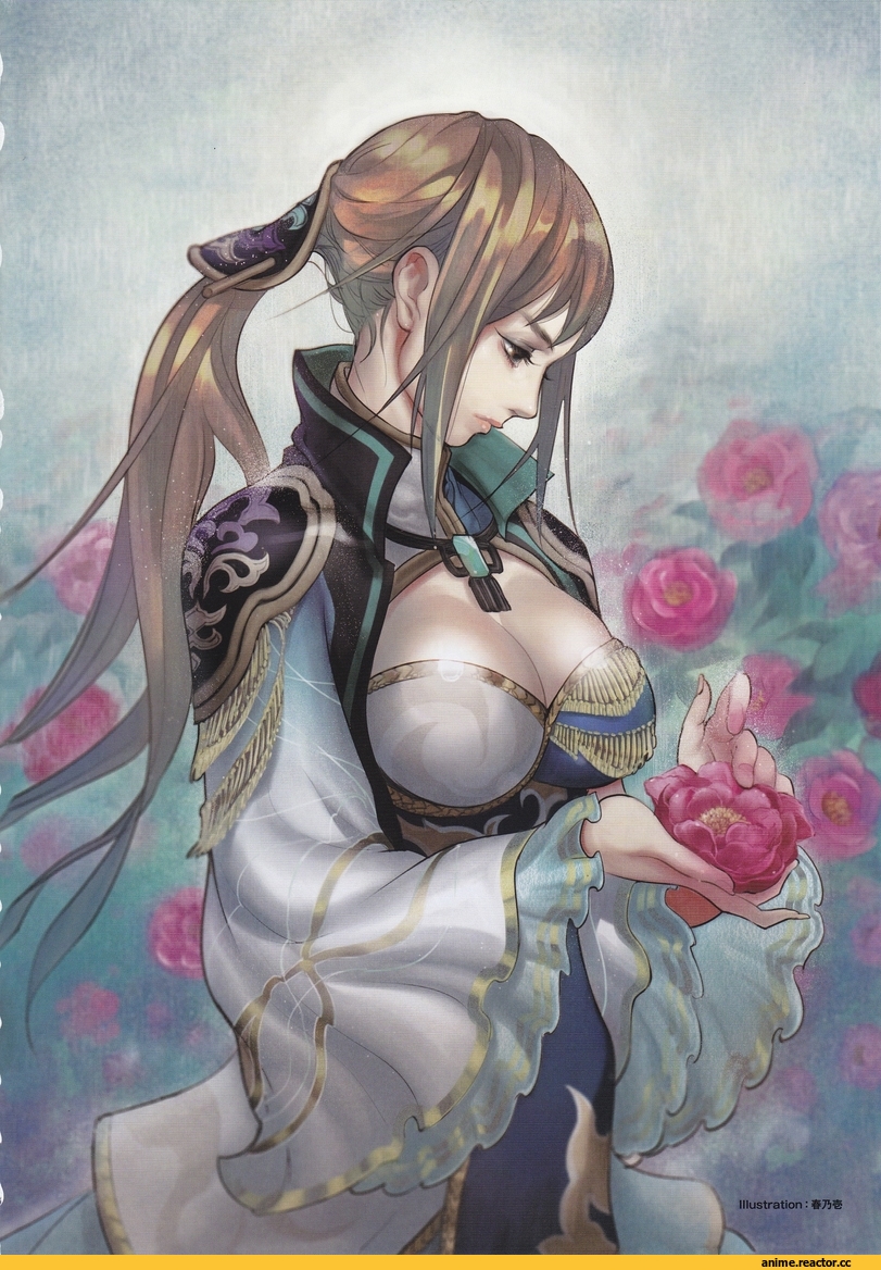 shin sangoku musou, wang yuanji, Anime Art, art, красивые картинки, Anime