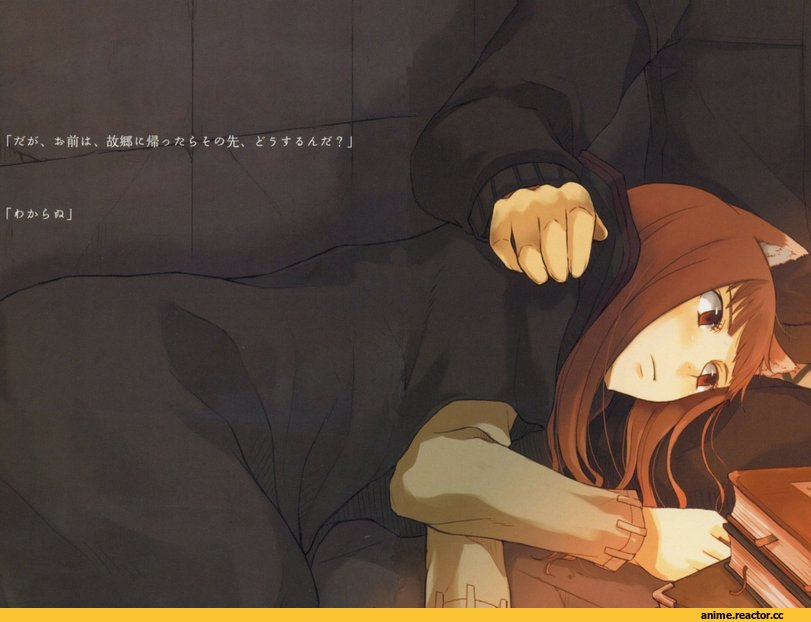 Spice and Wolf, art, красивые картинки, Inumimi, Animal Ears, Anime