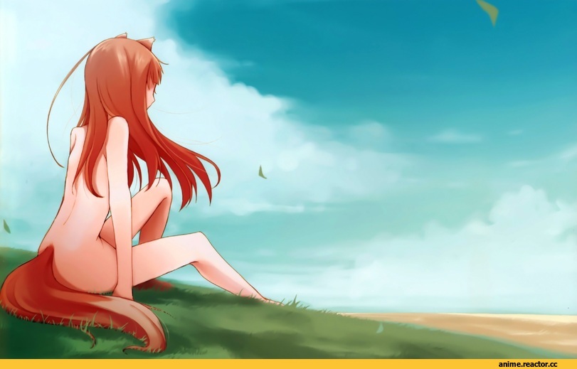 art, красивые картинки, Spice and Wolf, Inumimi, Animal Ears, Anime