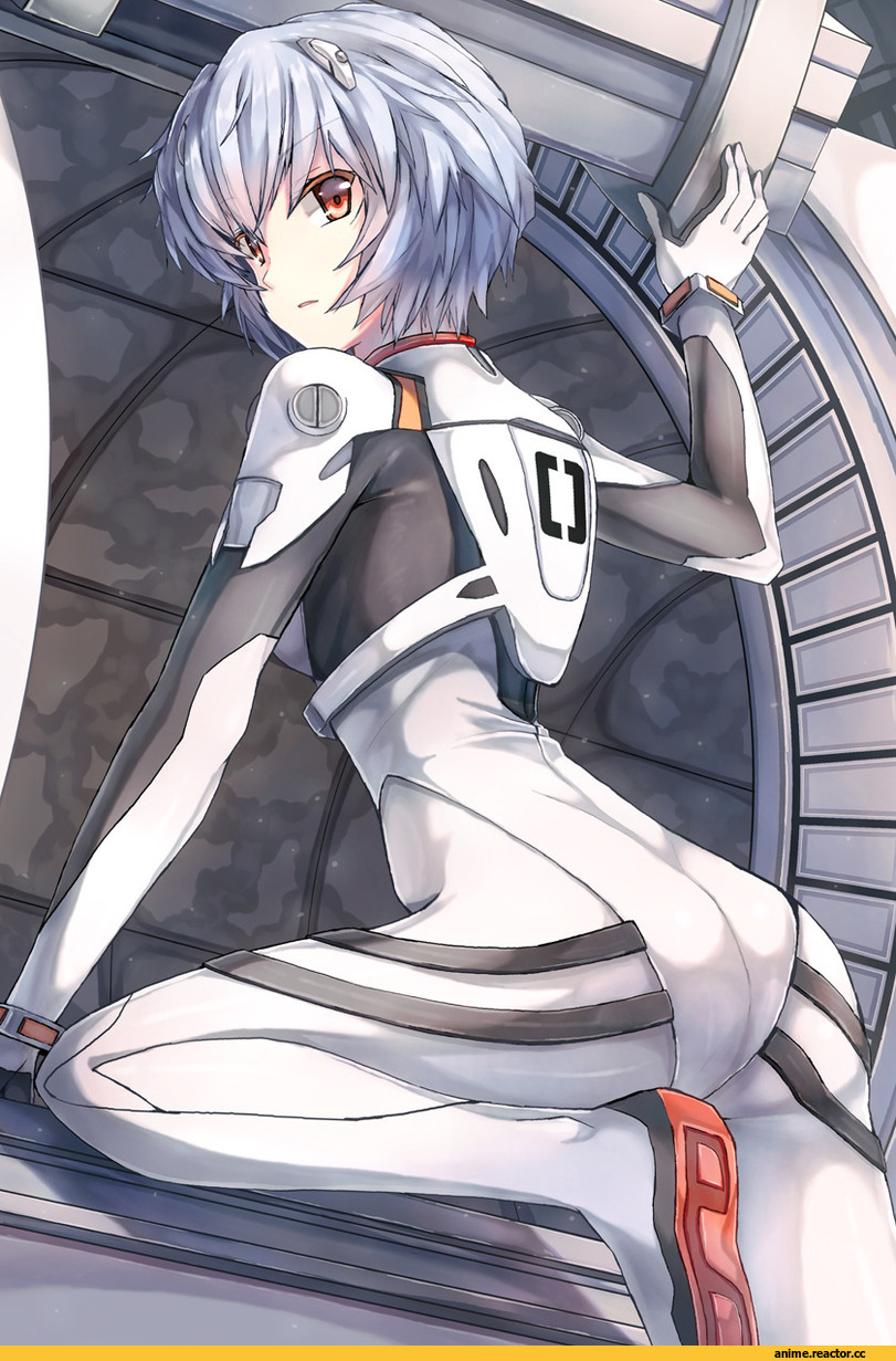 art, красивые картинки, Evangelion, ayanami rei, bodysuit, Anime