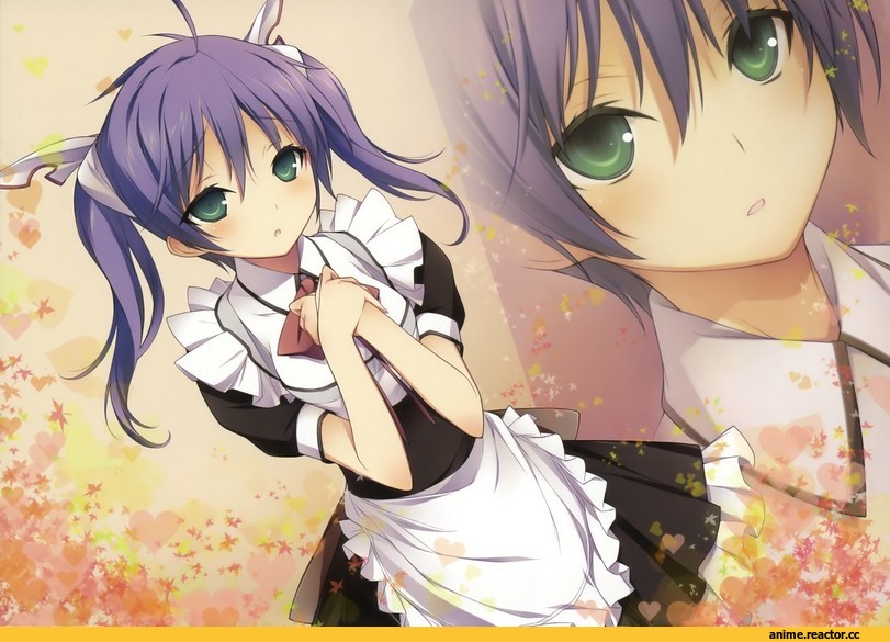 art, красивые картинки, девушка, usami masamune, Mayo Chiki!, Anime