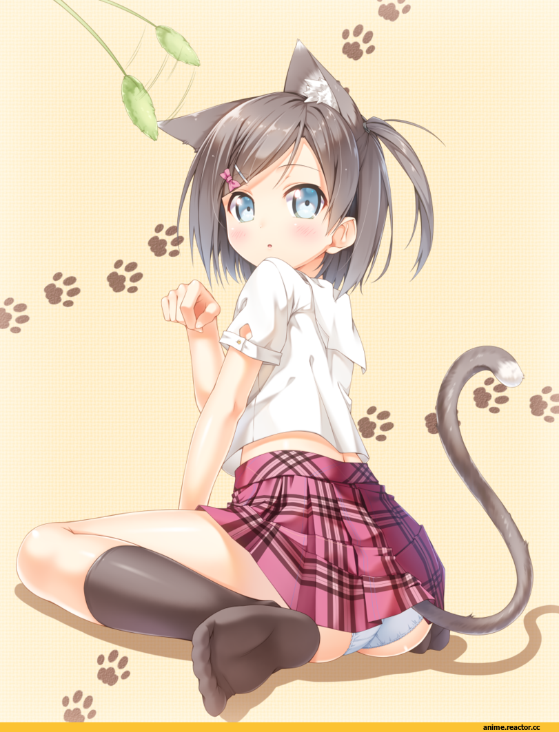 девушка, art, красивые картинки, Неко, Tsutsukakushi Tsukiko, hentai ouji to warawanai neko, Animal Ears, Anime