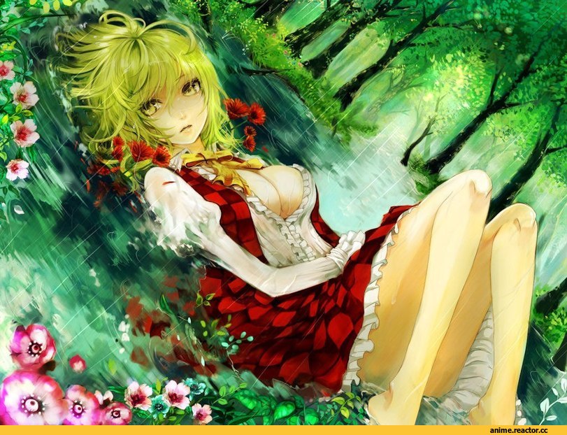 красивые картинки, art, Touhou Project, Kazami Yuuka, Anime