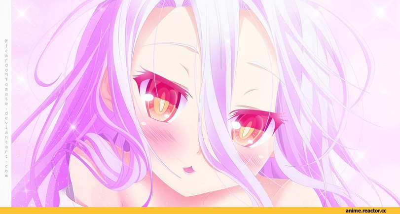 No Game No Life, Shiro (NGNL), Anime
