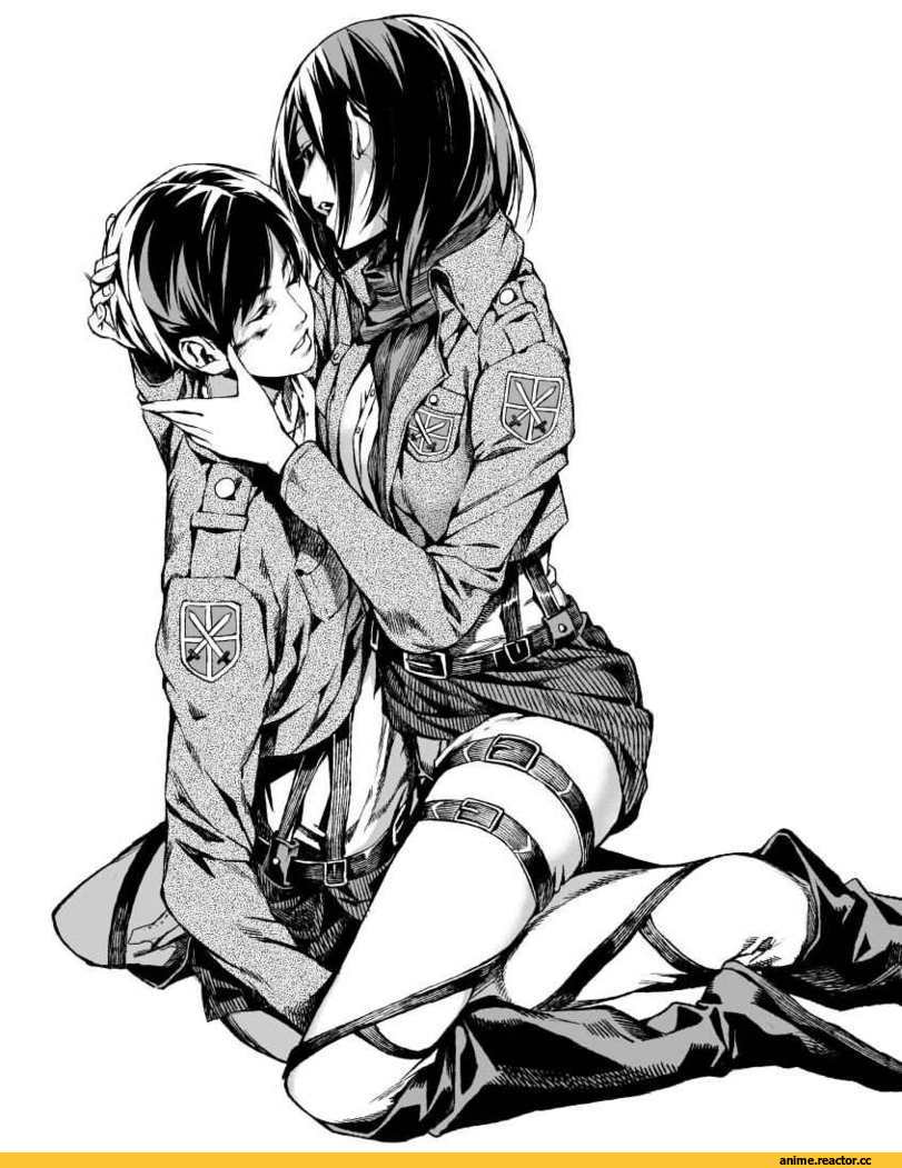art, красивые картинки, Anime Art, Shingeki no Kyojin, черно-белое, Anime