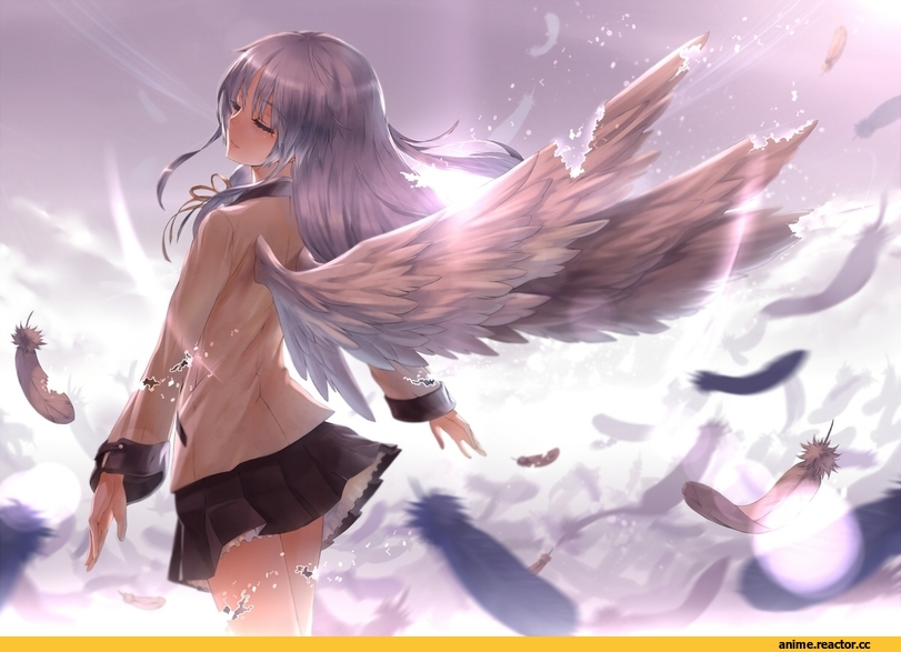 девушка, ангел, art, красивые картинки, Angel beats, tenshi, Tachibana Kanade, Anime