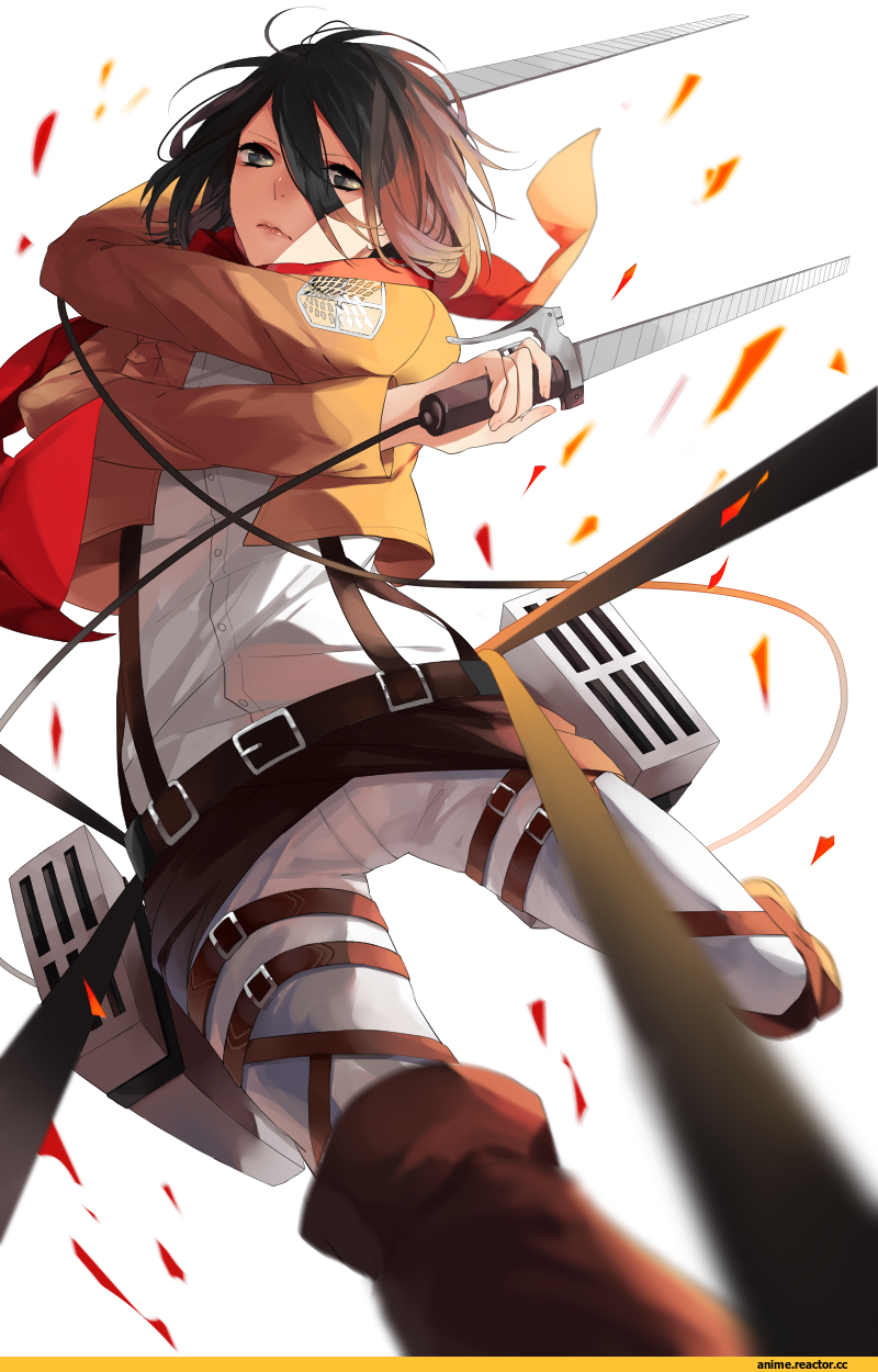 красивые картинки, art, Shingeki no Kyojin, mikasa, Anime