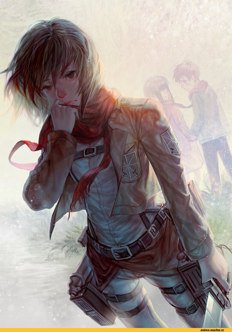 art, красивые картинки, девушки, Shingeki no Kyojin, Mikasa Ackerman, Anime