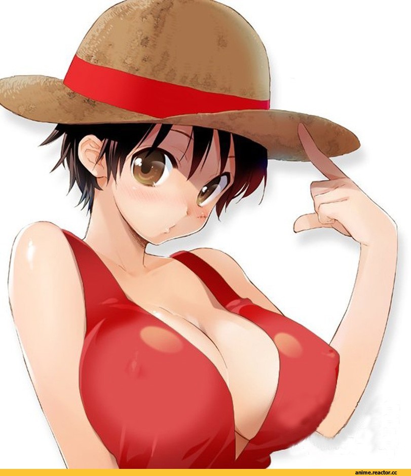 female Luffy, Luffy girl, art, красивые картинки, удалённое, Anime