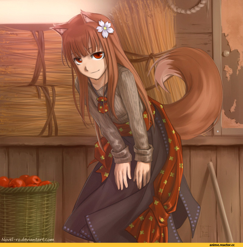 Spice and Wolf, Horo, art, красивые картинки, Inumimi, Animal Ears, Anime
