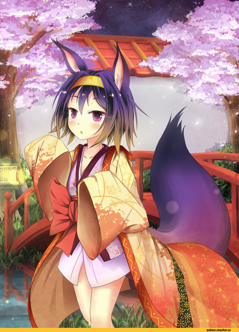 No Game No Life, izuna hatsuse, Kitsune, Animal Ears, Anime