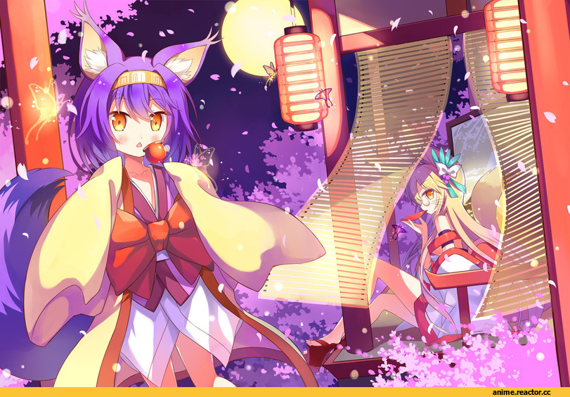 No Game No Life, Hatsuse Izuna, Animal Ears, Kitsune, Miko (NGNL), Werebeast, Anime