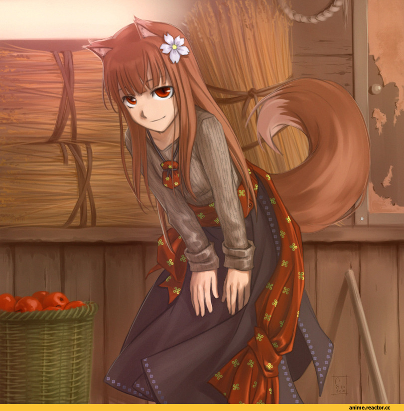 Spice and Wolf, art, красивые картинки, нарисовал сам, удалённое, Animal Ears, Inumimi, Anime