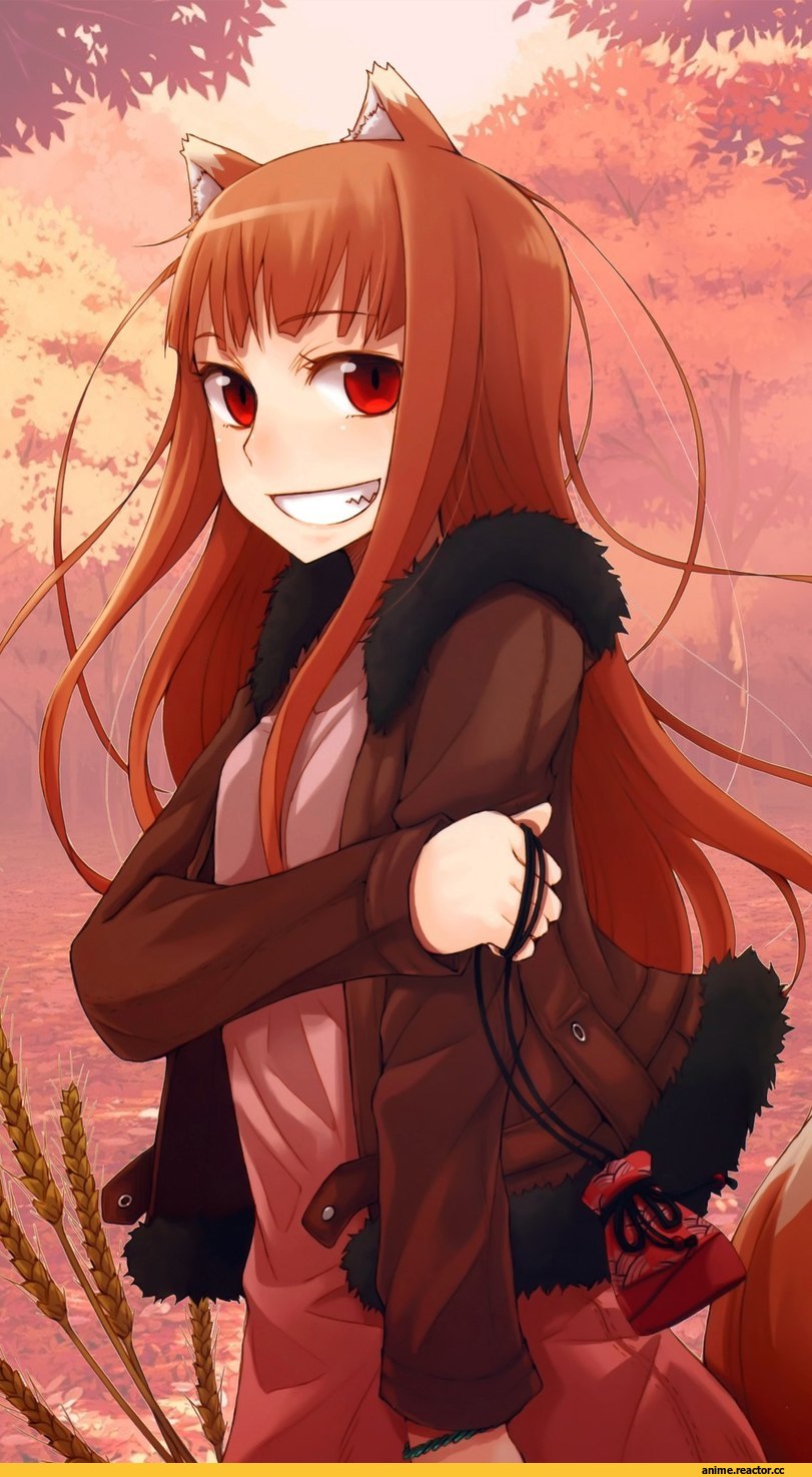 Spice and Wolf, Holo, art, красивые картинки, Animal Ears, Inumimi, Anime