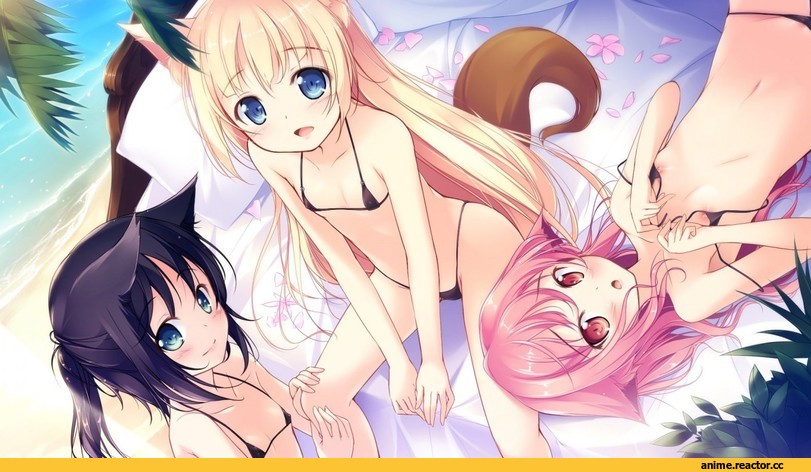 art, красивые картинки, neko, Animal Ears, Anime
